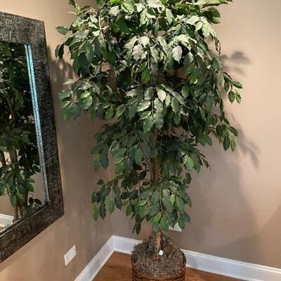 7 Ft Ficus Tree w/ Lights
