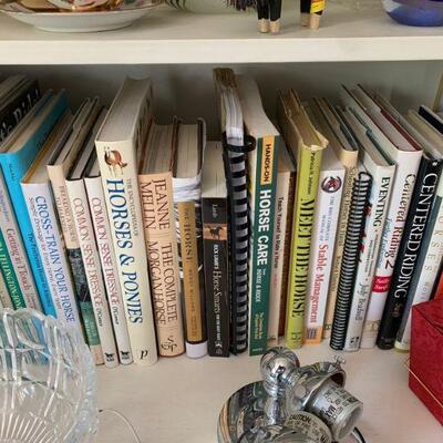 Equine books, fiction, non-fiction and teaching