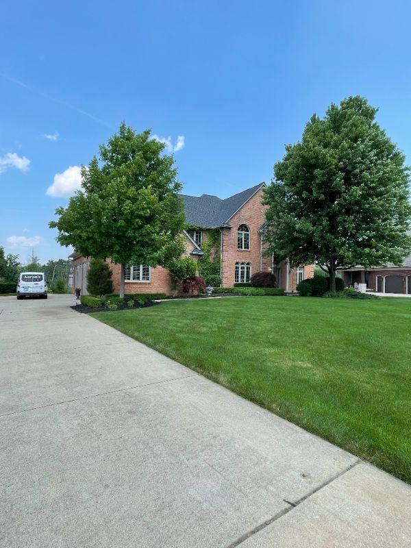 An Oakland Estate Sale