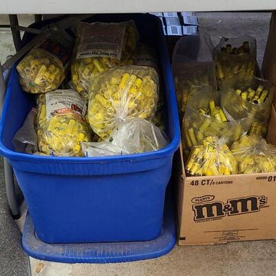 Empty 20 gauge shotgun shells