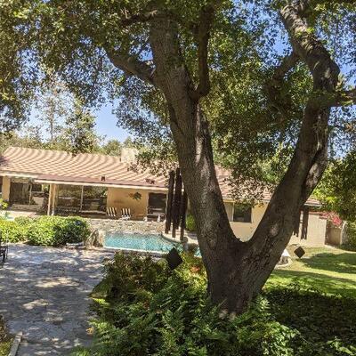 Large yard