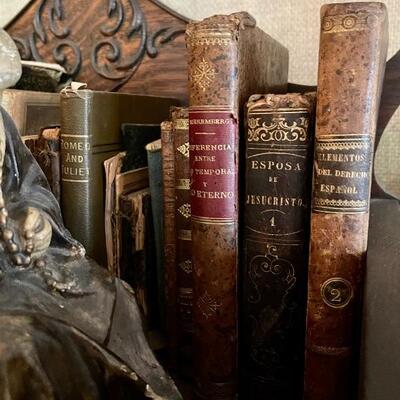 Antique leather books
