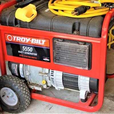 Troy-Bilt 5500 Watt generator
