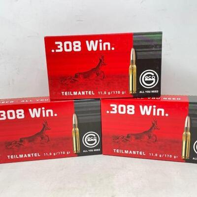 #8564 • 60 Rounds Of .308 WIN 170 GR