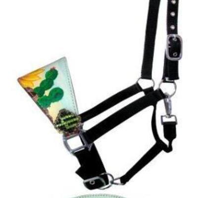 82	

Showman Â® Adjustable nylon bronc halter with hand painted sunflower and cactus nose band.
This halter features a leather bronc...