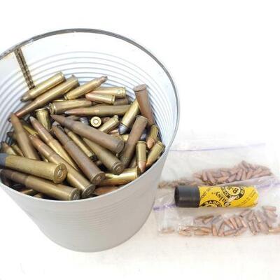 #1030 â€¢ Miscellaneous Ammo, Bullets And BBs