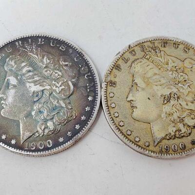 #1882 â€¢ Two 1900 E. Pluribus Unum One Dollar Coins
