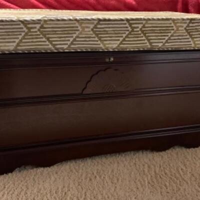 Trunk with Storage and Cushion 