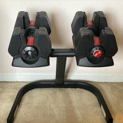 Bowflex Power-Pak Dumbbells W/Stand 45lb - $125