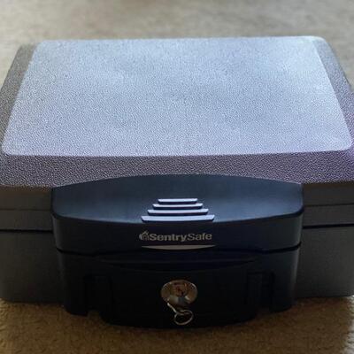 Sentry Safe Fireproof & Waterproof W/Key - $25