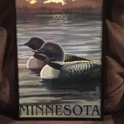 Minnesota Ducks