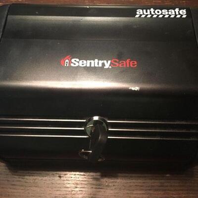 Sentry Safe-can fit in a car and has a way to fix to your car