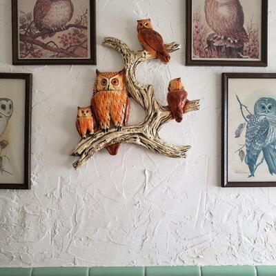 wall hanging of owls and pictures/paintings of owls
