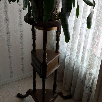 Plant with Stand
$40