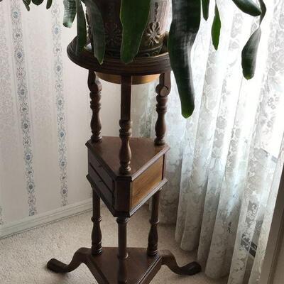 Plant with Stand
$40