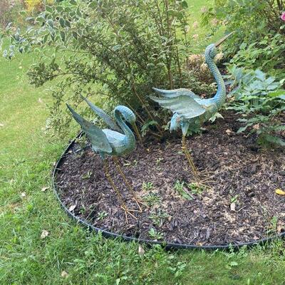 yard birds.