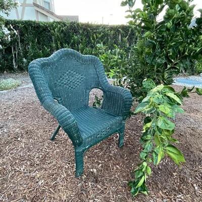 Wicker chair in hunter green