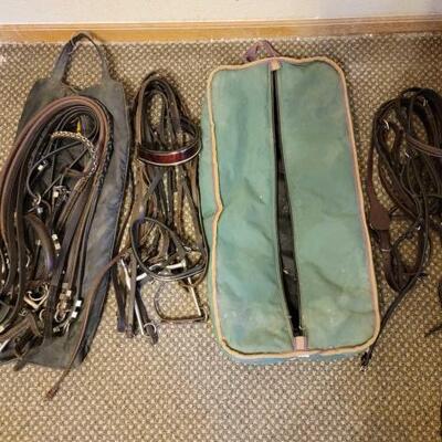 2056	

Halters, Bridals, Other Tack and 2 Bags
Halters, Bridals, Other Tack and 2 Bags