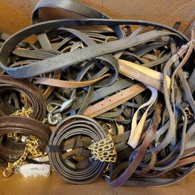 2070	

Halters, Leads, and other Misc Tack
Halters, Leads, and other Misc Tack