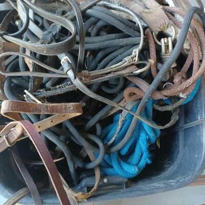 2118	

Horse Halters, Leads And Grooming Kit
Horse Harnesses, Leads And Grooming Kit