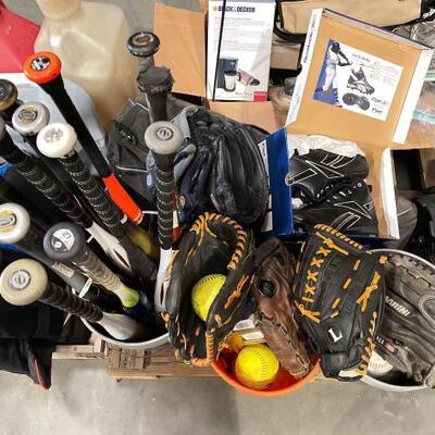 754	

Baseball/Softball Gear
Size 10 1/2 Reebok Men Cleats, Softballs, Baseballs, Gloves, Bats, Bags And More!