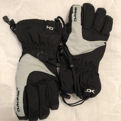 Dakine Ski Gloves, Size Small