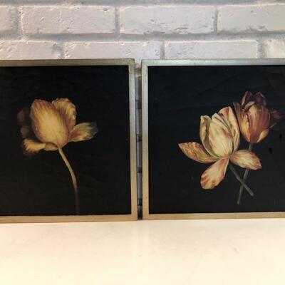 Pair Dramatic Black Matted Floral Pictures, Framed