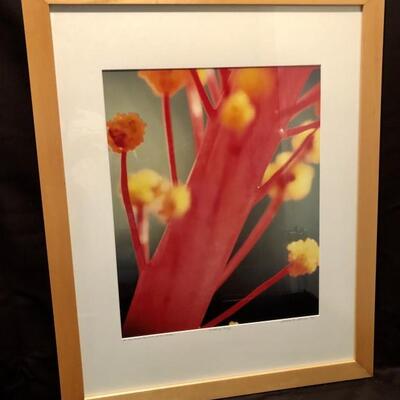 Sharon Sturgis. Hibiscus. Artistâ€™s First Proof
Inscribed to BJ and Gloria and signed by artist. Photograph on Fuji Velvia Slide film....