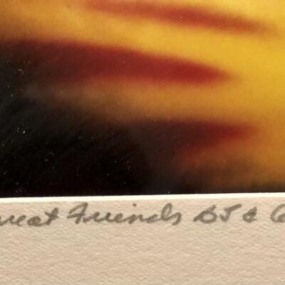 Sharon Sturgis. Gladiola. Artistâ€™s first proof.