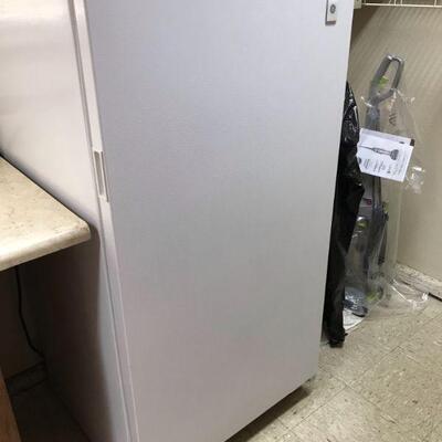 GE Stand or Sit down freezer
28