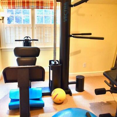 Vectra Online 1100 home gym. This item may be sold in advance, due to moving logistics.  If interested in purchasing, please email...