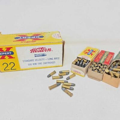 #2029 • Approx 500 Rounds of .22
