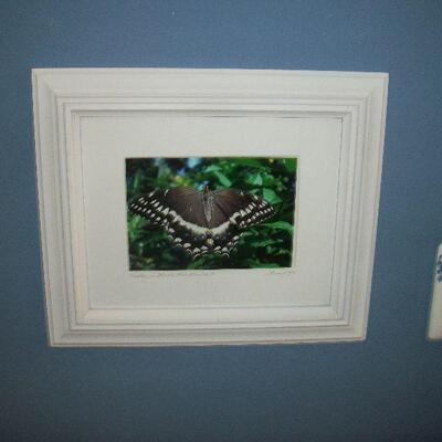 Photographic Butterfly Print