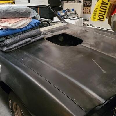 BY APPOINTMENT - NOT AT THIS LOCATION-1971 Trans Am body with Motor and parts.  1971 Trans Am 455 HO 4 speed, has new quarters...