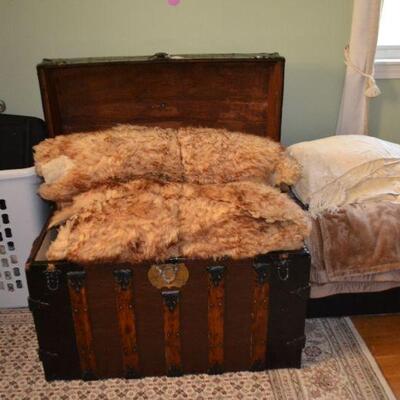 20 sheepskins