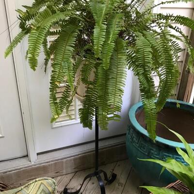 plant stand $20
pot with fern $22
2 available