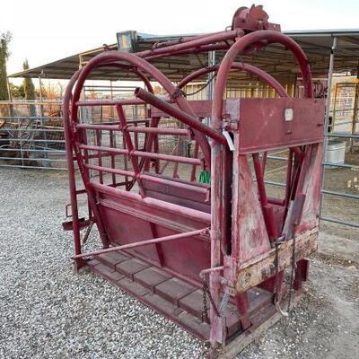 #680 â€¢ Cattle Squeeze: Thompson and Gill Inc. 