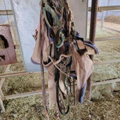 #7644 â€¢ Halters, Bit, Lead Rope and Fly Masks