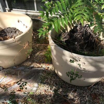 Oversize planters