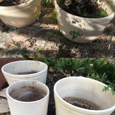 Oversized Planters and Large Pots