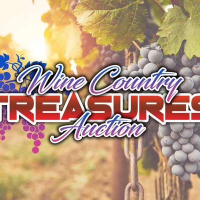 Wine Country Treasures Auction