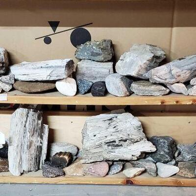 Petrified Wood and other Rock Specimens