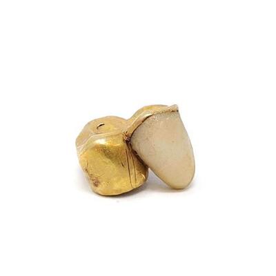 #2072 • 14k Gold Tooth Cap, 2.5g