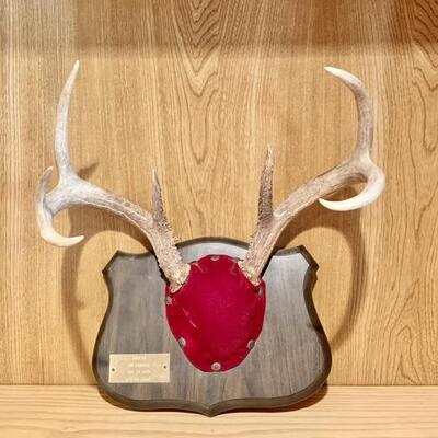 Antler Mount