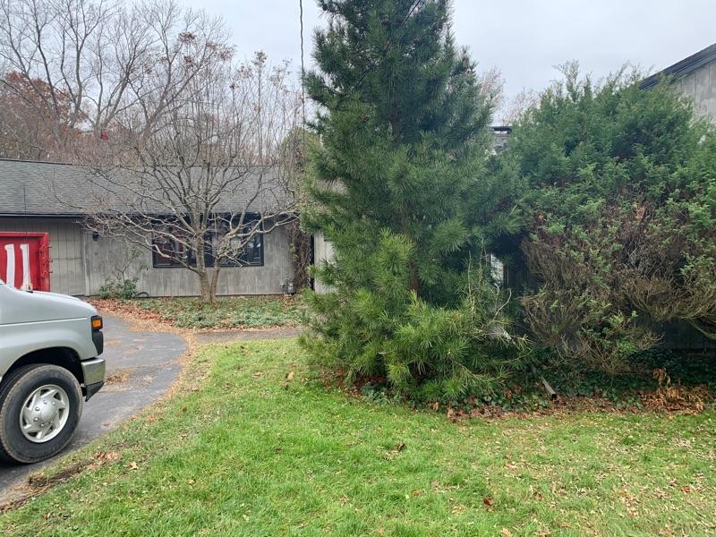 Large and Interesting East Aurora Estate Sale