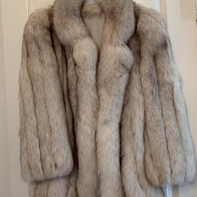 Blue Fox Fur Size 10 (approximately)