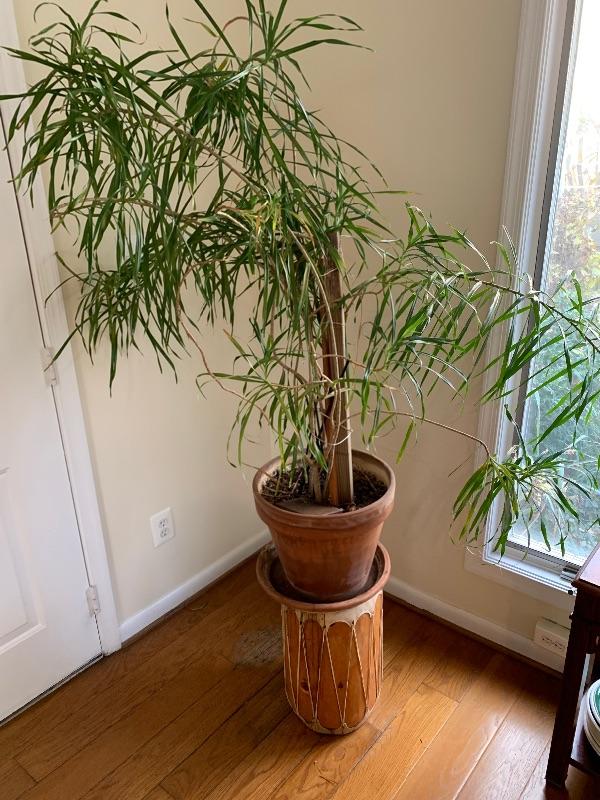 Deal Hunter Estate sale in Mclane