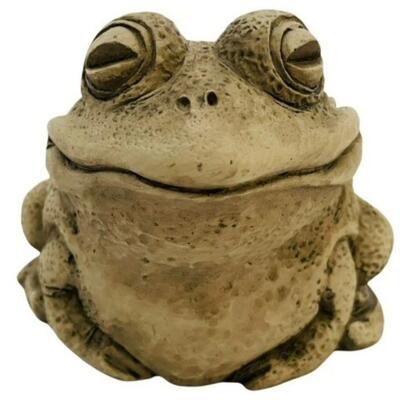 Frog to hide keys in