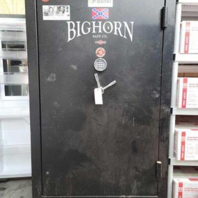 #2574 â€¢ Bighorn Safe
