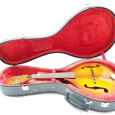 #2530 â€¢ Antares Hollow Body Mandolin with Case